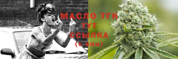 гидра Горнозаводск