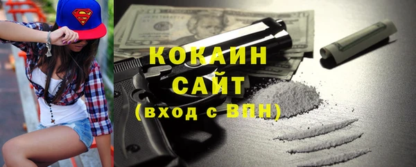 гидра Горнозаводск
