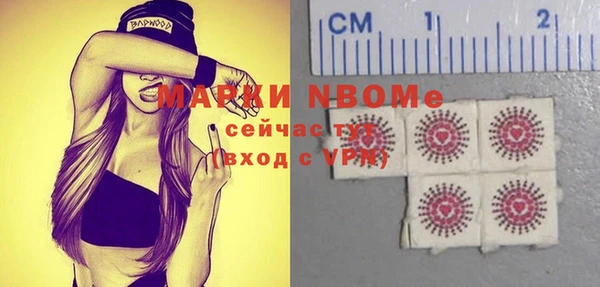 гидра Горнозаводск