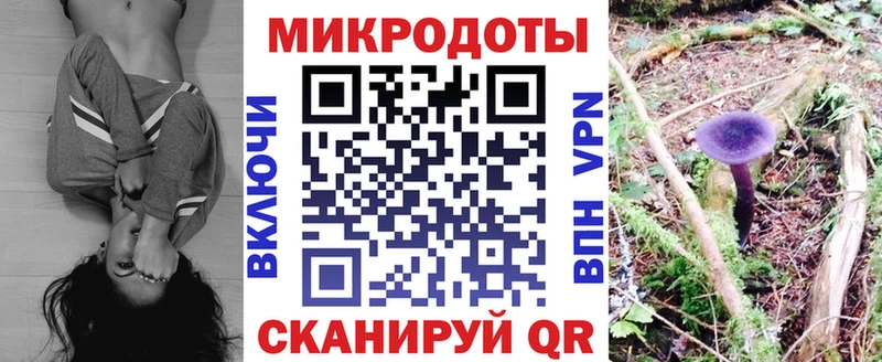 Купить закладки  Шуя  Псилоцибиновые грибы Magic Shrooms 