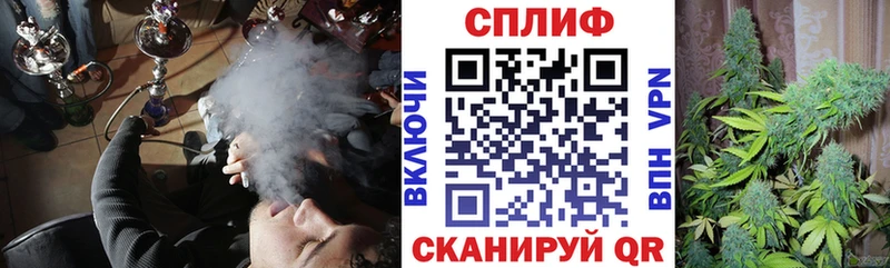Каннабис индика  Купить где  Шуя 